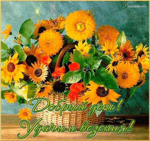 Открытка «Пожелание»: Добрый день! Яркий букет цветов, удача и везение. Тэги: улыбка, красивая, позитив, радость…