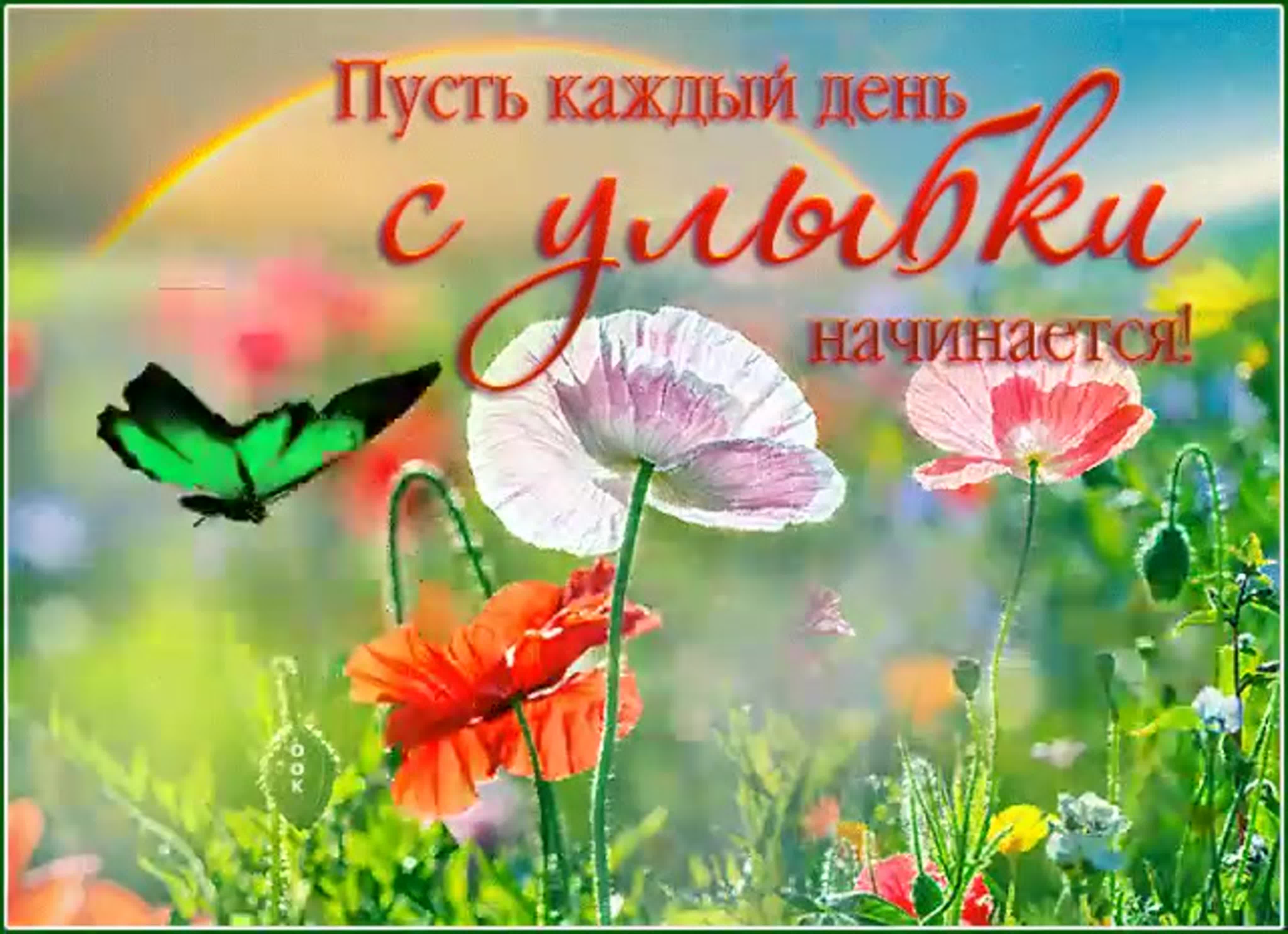 Открытка «С добрым утром»: Пусть день с улыбки начинается! Яркая открытка. Тэги: пожелание, улыбка, красивая, позитив…