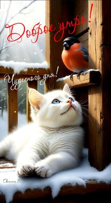 Открытка «Кот»: Доброе утро: милый кот, снегирь и чудесный день. Тэги: животное, пожелание, утро, красивая, позитив…