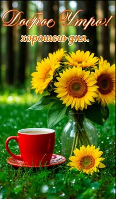 Открытка «С добрым утром»: Доброе утро и хорошего дня! Солнечный позитив. Тэги: пожелание, утро, красивая, кофе…