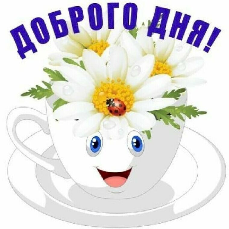 Открытка «Пожелание»: Доброго Дня! Улыбка и позитив с ромашками. Тэги: юмор, прикольная, улыбка, красивая, позитив…