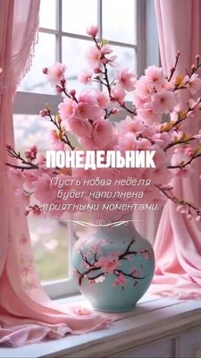 Открытка «Пожелание»: ПОНЕДЕЛЬНИК: Весеннее пожелание на приятную неделю. Тэги: красивая, позитив, добрый день, цветок…