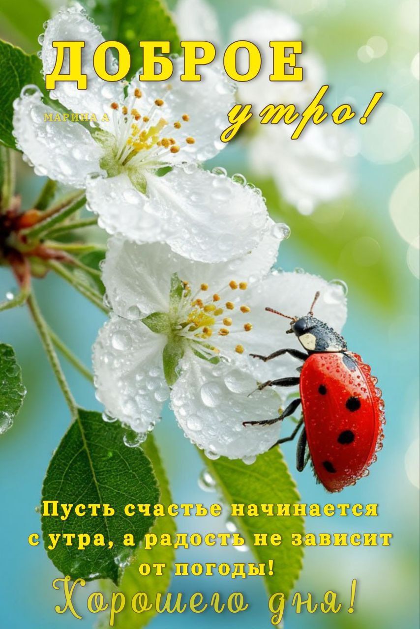 Открытка «С добрым утром»: Доброе утро! Счастье начинается с улыбки и цветов. Тэги: животное, пожелание, утро, красив…