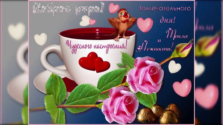 Открытка «С добрым утром»: Доброе утро! Чудесного настроения и нежности. Тэги: животное, пожелание, улыбка, красивая…