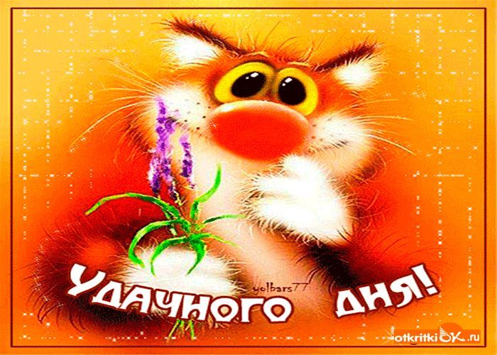 Открытка «Кот»: Удачного дня! Милый кот с пожеланием позитива. Тэги: животное, пожелание, прикольная, улыбка, красивая…