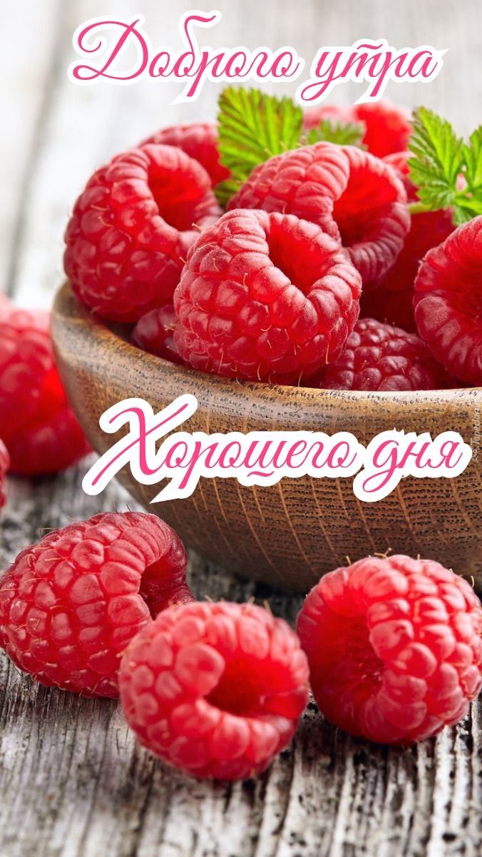 Открытка «С добрым утром»: Доброго утра и хорошего дня с малиной для позитива. Тэги: пожелание, улыбка, утро, красивая…