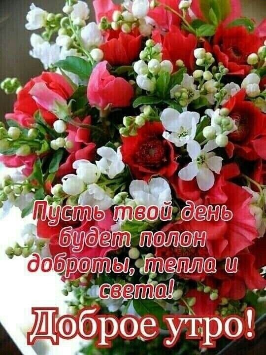 Открытка «С добрым утром»: Доброе утро с букетом: пожелание тепла и доброты. Тэги: С добрым утром, женщине, С добрым…