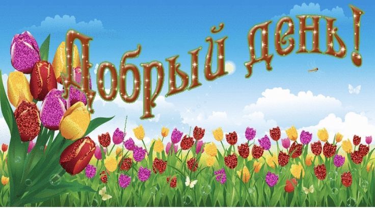 Открытка «Пожелание»: Добрый день! Яркая открытка с тюльпанами и блеском. Тэги: улыбка, красивая, позитив, радость…