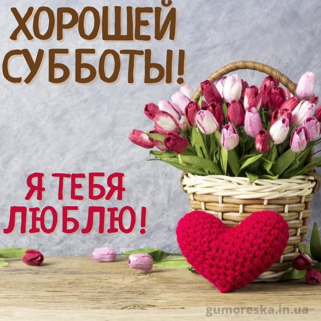 Открытка «Пожелание»: Любовь и хорошая суббота! Открытка с цветами. Тэги: красивая, позитив, радость, добрый день…