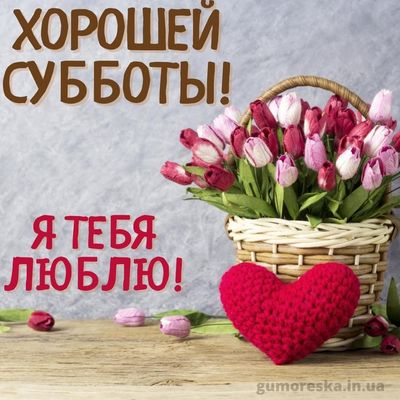 Открытка «Пожелание»: Любовь и хорошая суббота! Открытка с цветами. Тэги: красивая, позитив, радость, добрый день…