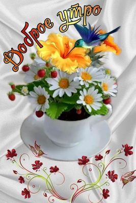 Открытка «С добрым утром»: «Доброе утро» — красивая открытка с цветами и позитивом. Тэги: утро, позитив, радость…