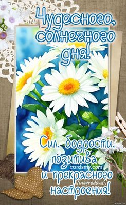 Открытка «Пожелание»: Чудесного солнечного дня и прекрасного настроения!. Тэги: улыбка, подруга, женщина, красивая…