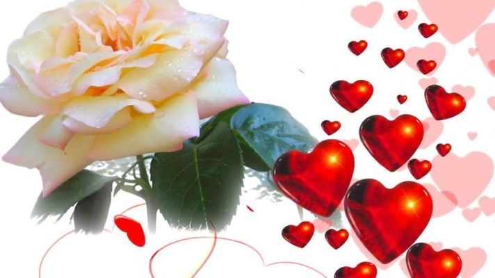 Открытка «Пожелание»: Нежная роза и сердца — красивая открытка с любовью. Тэги: улыбка, красивая, позитив, радость…