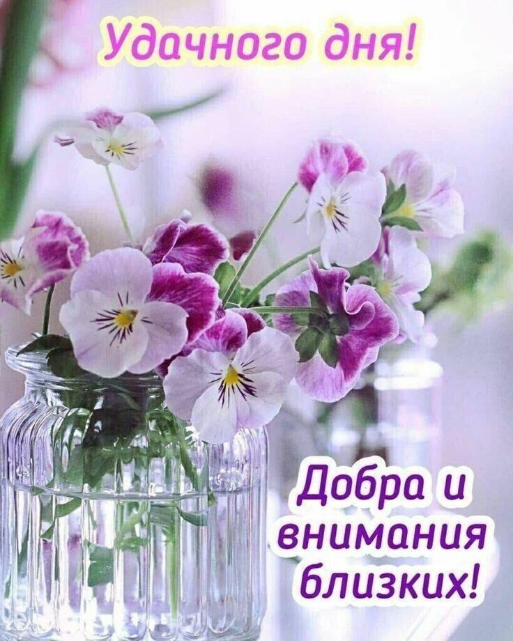 Открытка «Пожелание»: Нежная открытка: Удачного дня и добра близких!. Тэги: улыбка, красивая, позитив, радость…