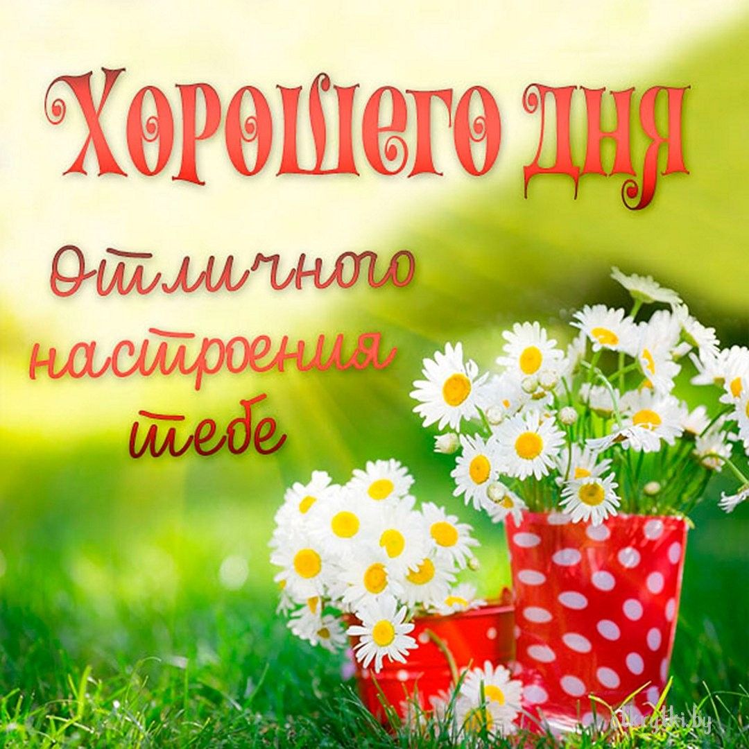 Открытка «Пожелание»: Хорошего дня! Позитив и отличное настроение. Тэги: улыбка, красивая, позитив, радость, добрый д…