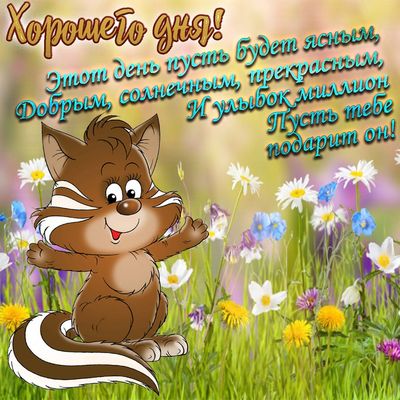 Открытка «Кот»: Хорошего дня: улыбки и позитив!. Тэги: животное, пожелание, улыбка, красивая, позитив, радость…