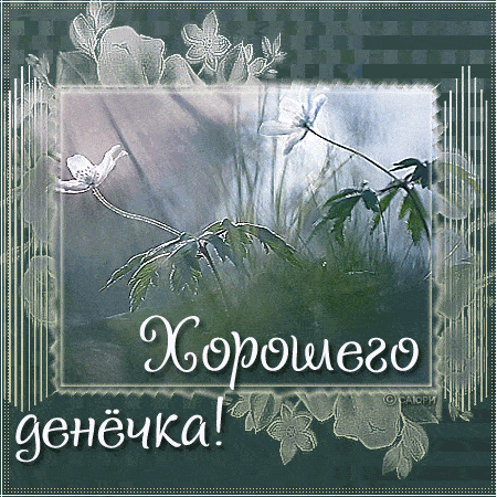 Открытка «Пожелание»: «Хорошего денёчка» – нежная открытка с цветами. Тэги: утро, красивая, позитив, радость, добрый…