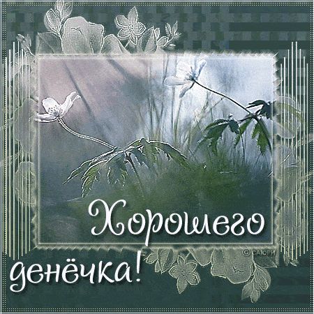 Открытка «Пожелание»: «Хорошего денёчка» – нежная открытка с цветами. Тэги: утро, красивая, позитив, радость, добрый…