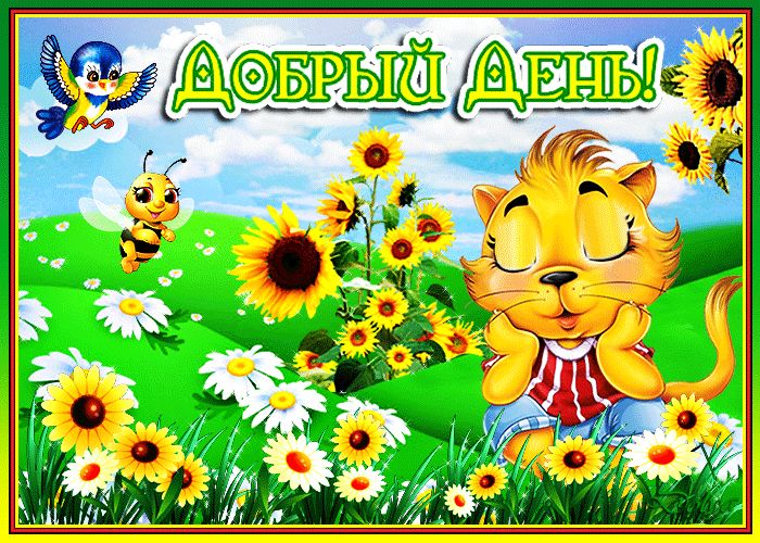 Открытка «Кот»: Позитивный «Добрый день!»: кот, птичка и подсолнухи. Тэги: животное, пожелание, прикольная, улыбка…
