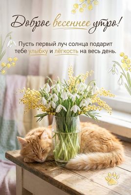 Открытка «С добрым утром»: Доброе весеннее утро! Улыбка и лёгкость на весь день.. Тэги: кот, животное, пожелание…