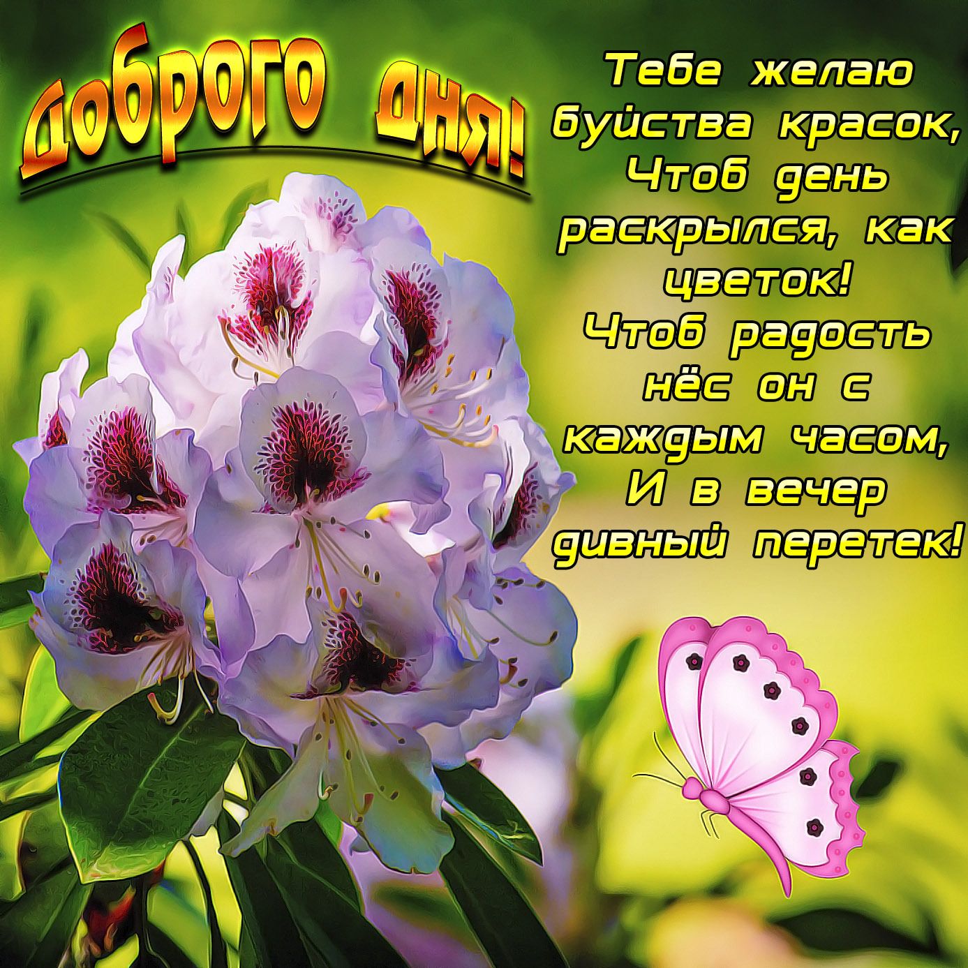 Открытка «Пожелание»: Доброго дня! Нежное пожелание с цветком и бабочкой. Тэги: улыбка, красивая, позитив, радость…