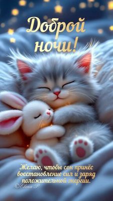 Открытка «Кот»: Доброй ночи! Сладких снов от пушистого котенка. Тэги: животное, пожелание, красивая, позитив, настрое…