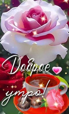 Открытка «Пожелание»: Нежная роза и кофе – Доброе утро, позитив!. Тэги: утро, красивая, кофе, позитив, радость, сердце…