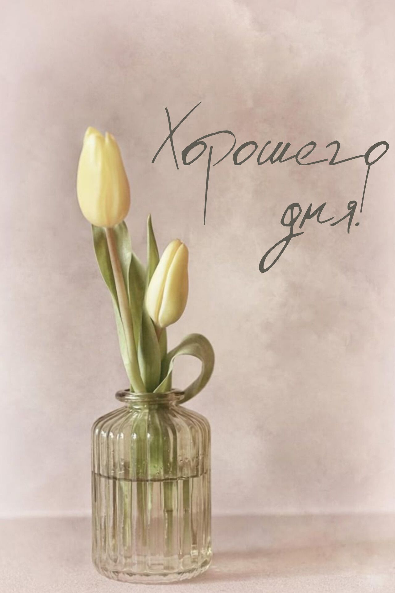 Открытка «Пожелание»: Открытка Хорошего дня! Нежные тюльпаны для настроения. Тэги: улыбка, друг, подруга, красивая…