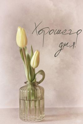 Открытка «Пожелание»: Открытка Хорошего дня! Нежные тюльпаны для настроения. Тэги: улыбка, друг, подруга, красивая…