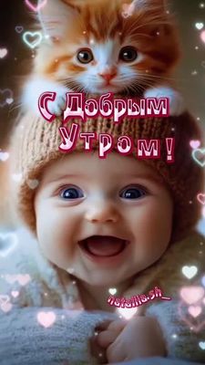 Открытка «С добрым утром»: С добрым утром: улыбка, счастье и пушистый кот. Тэги: кот, животное, улыбка, шапка, утро…