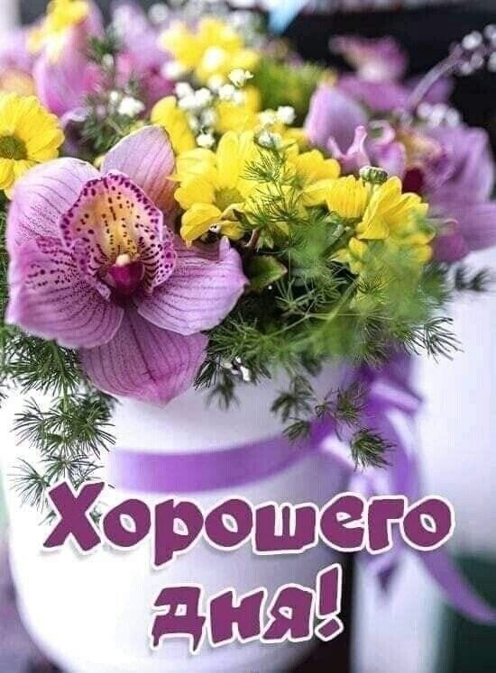 Открытка «Пожелание»: Хорошего дня! Красивый букет цветов. Тэги: друг, подруга, красивая, позитив, радость, добрый де…