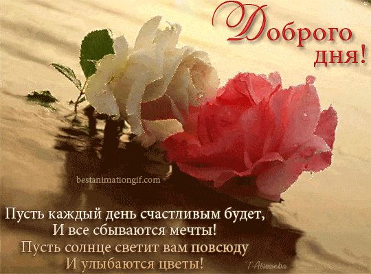 Открытка «Пожелание»: Доброго дня: пусть сбудутся мечты и улыбаются цветы!. Тэги: улыбка, красивая, позитив, радость…