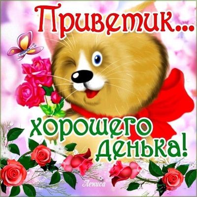 Открытка «Кот»: Приветик! Открытка с милым котиком на хороший день. Тэги: животное, пожелание, улыбка, красивая…