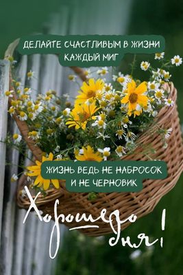 Открытка «Пожелание»: Хорошего дня: Счастье в каждом миге жизни!. Тэги: улыбка, красивая, позитив, радость, добрый де…
