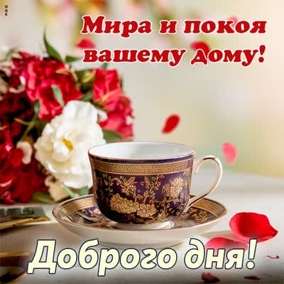 Открытка «Пожелание»: Пожелание Мира и покоя на Добрый день. Тэги: красивая, кофе, позитив, радость, добрый день…