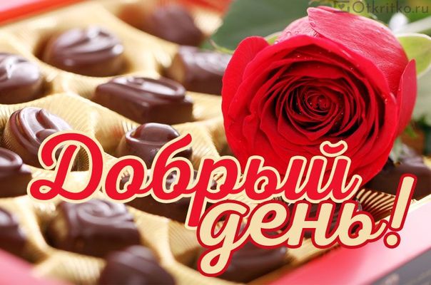 Открытка «Пожелание»: Добрый день! Открытка с розой и шоколадом. Тэги: улыбка, красивая, позитив, радость, добрый день…