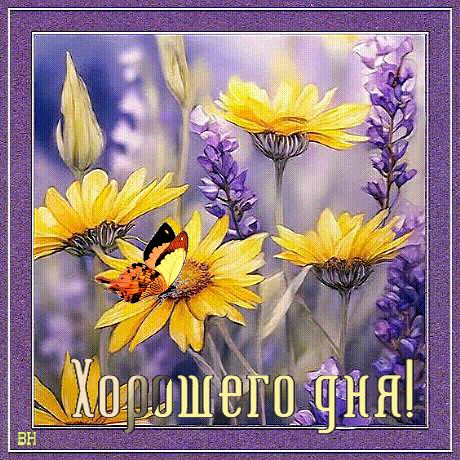 Открытка «Животное»: Пожелание хорошего дня: яркий цветок и бабочка. Тэги: пожелание, улыбка, красивая, позитив…