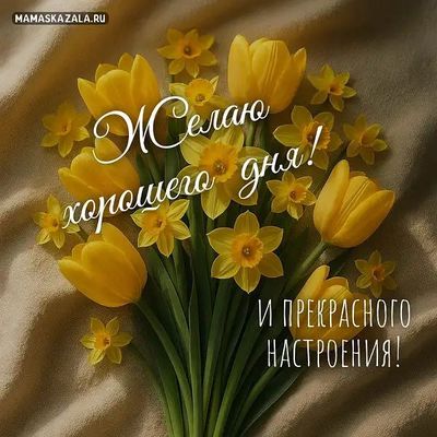 Открытка «Пожелание»: Хорошего дня и прекрасного настроения с цветами!. Тэги: улыбка, утро, красивая, позитив, радость…