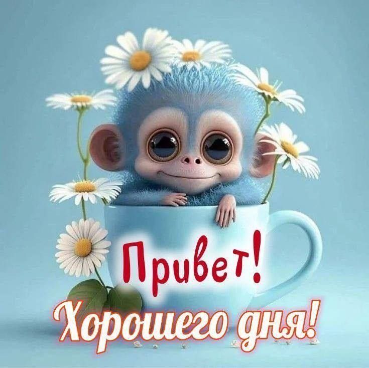 Открытка «Животное»: Милая обезьянка желает хорошего дня!. Тэги: улыбка, красивая, позитив, радость, добрый день…