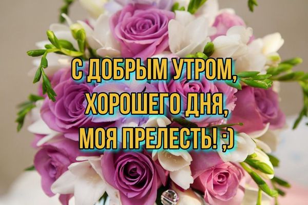 Открытка «С добрым утром»: С добрым утром, моя прелесть! Букет цветов. Тэги: пожелание, улыбка, утро, красивая…