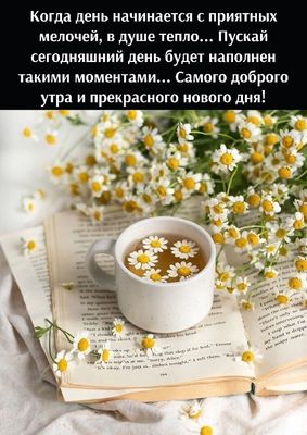 Открытка «Пожелание»: Доброе утро с ромашками и пожеланием тепла. Тэги: улыбка, утро, красивая, позитив, радость…