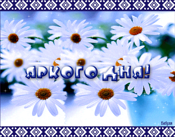 Открытка «Пожелание»: Яркого дня! Красивая открытка с ромашками. Тэги: красивая, позитив, добрый день, цветок, настро…