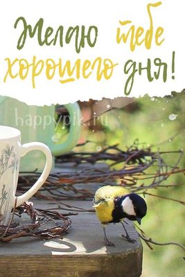 Открытка «Животное»: Хорошего дня! Позитивное пожелание с животным и чашкой. Тэги: пожелание, улыбка, красивая, кофе…