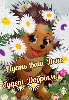 Открытка «Животное»: Пусть Ваш День будет Добрым! Милый ежик и ромашки. Тэги: пожелание, улыбка, красивая, позитив…
