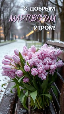 Открытка «Пожелание»: С добрым мартовским утром! Нежные тюльпаны. Тэги: утро, красивая, позитив, цветок, настроение…