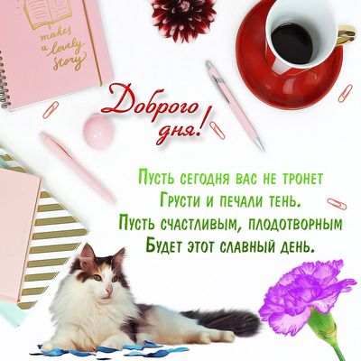 Открытка «Кот»: Позитивного дня! Счастливое пожелание с милым котом. Тэги: животное, пожелание, красивая, кофе…