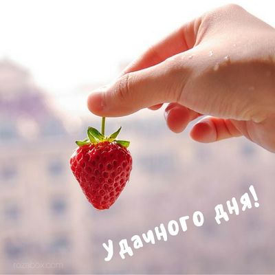 Открытка «Пожелание»: Удачного дня! Яркий позитив и удача. Тэги: улыбка, красивая, позитив, радость, добрый день…