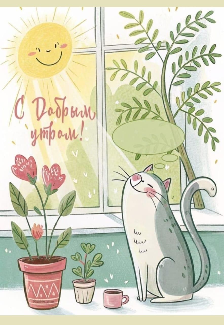 Открытка «Кот»: С Добрым утром! Кот на окне и улыбка солнца. Тэги: животное, пожелание, улыбка, утро, красивая, кофе…