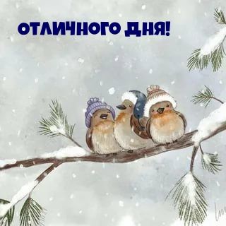 Открытка «Животное»: Отличного дня! Милые птички в шапках на снегу. Тэги: улыбка, шапка, позитив, радость, добрый день…
