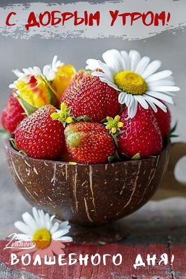 Открытка «С добрым утром»: С добрым утром! Яркий позитив и волшебный день. Тэги: пожелание, утро, красивая, позитив…